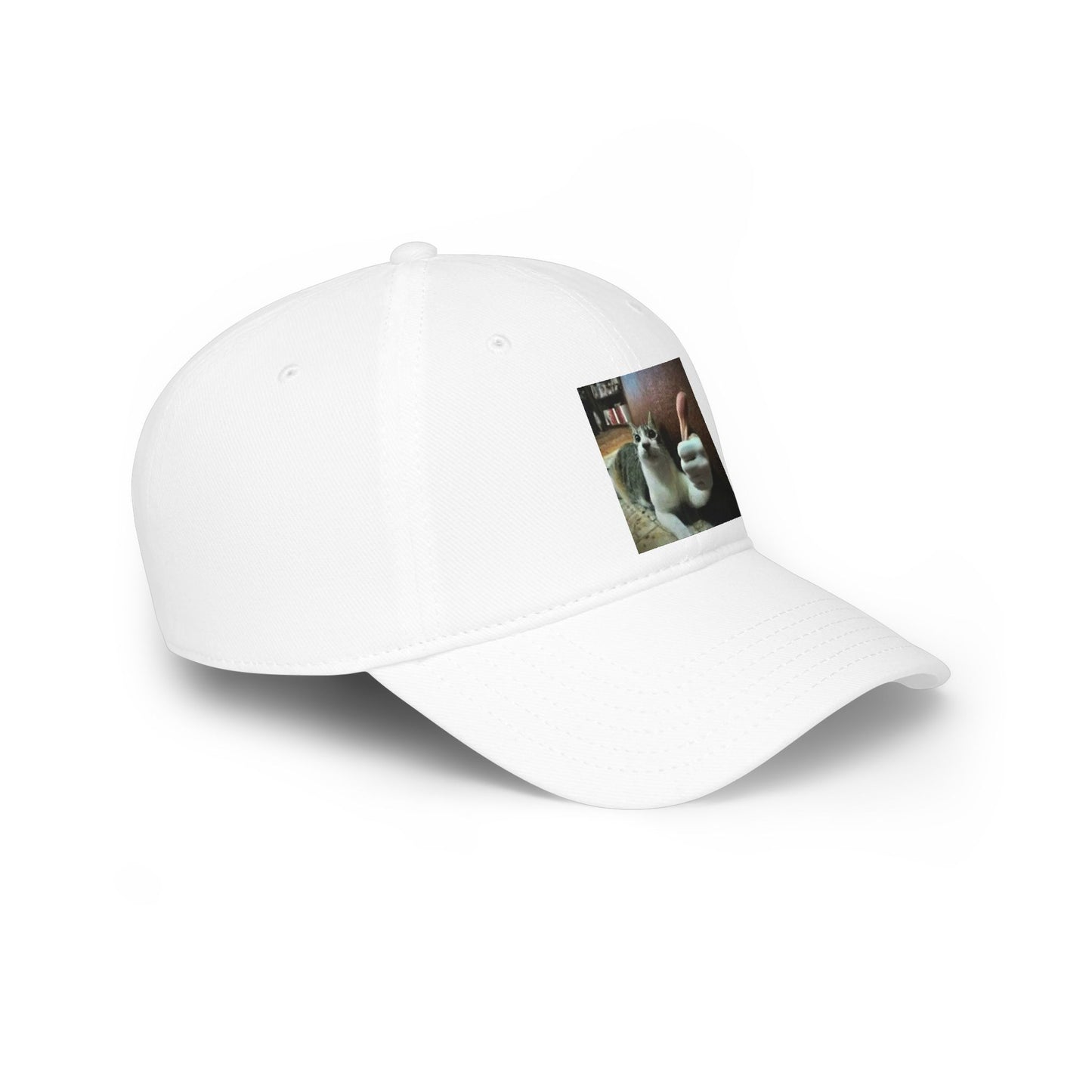 Cat Thumbs-Up Hat