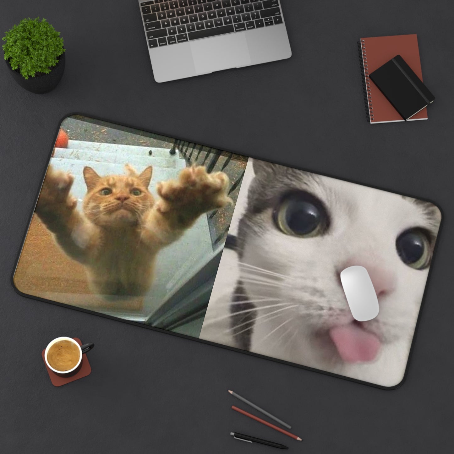 Funny Cat Meme Desk Mat — “This is Rudy, Rudy loves me. Rudy is not my cat.”