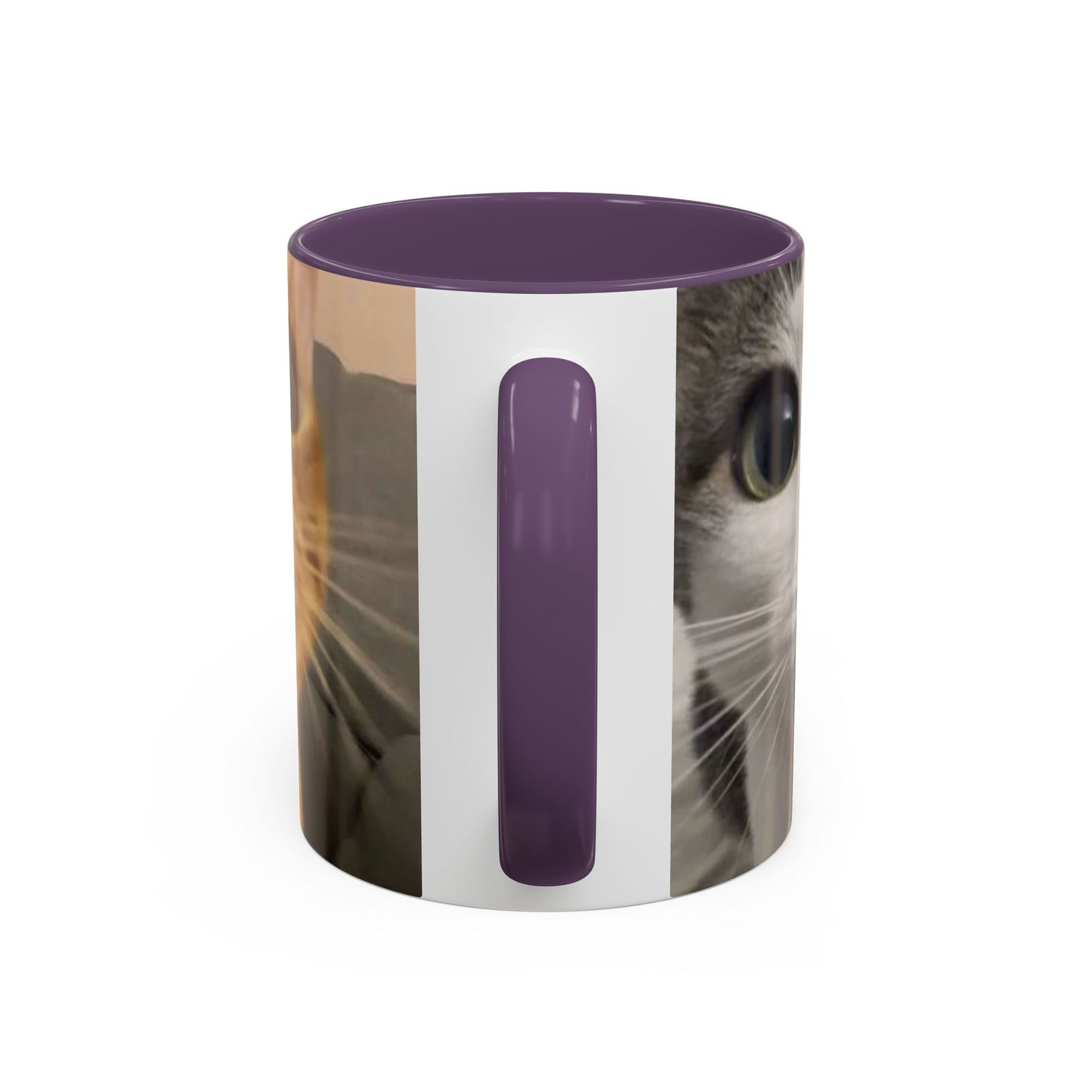 Cute Split-Photo Cat Accent Coffee Mug (11/15oz)
