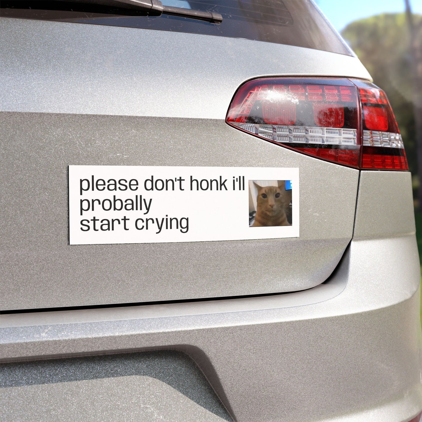 Car Magnet — "Please Don't Honk I'll Probally Start Crying" Cute Cat Meme