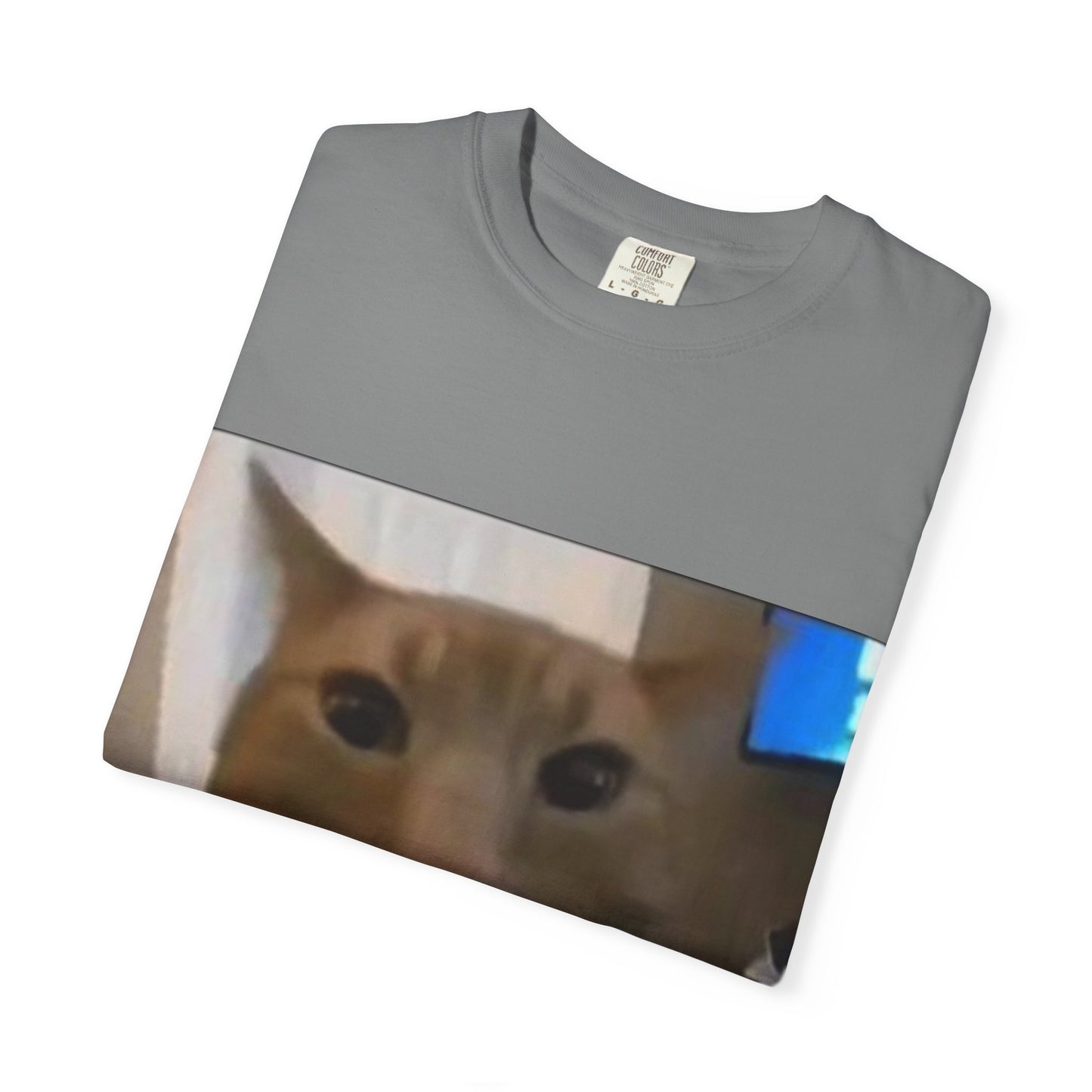 Wide-Eyed Orange Cat photo T-Shirt | Meme Cat Face, Square Print