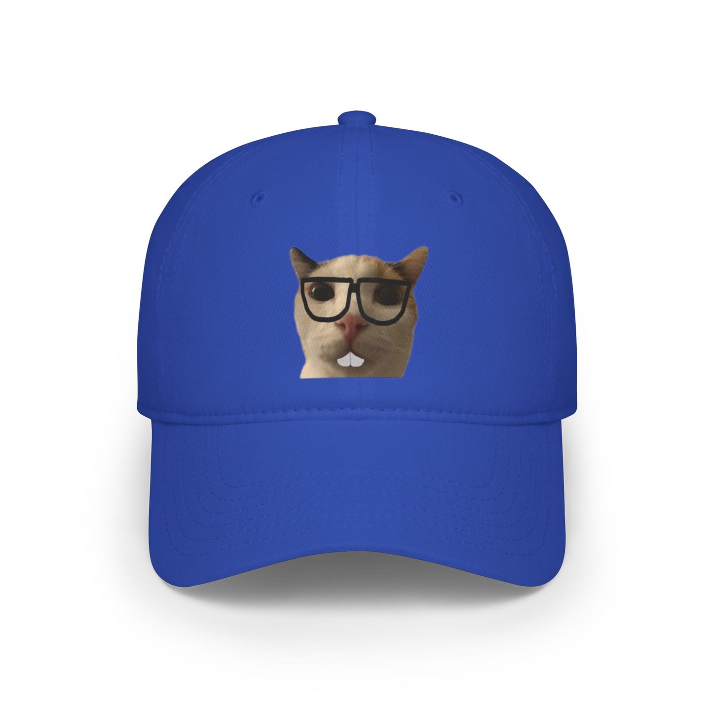 Nerdy Cat Summer Hat