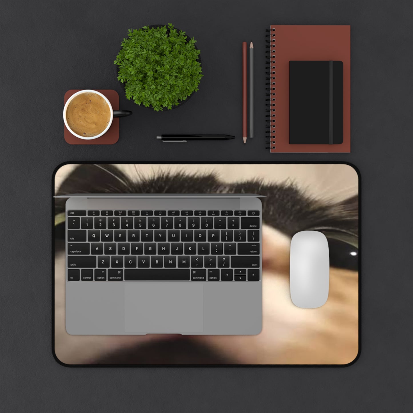 Cat Nose Desk Mat – Cute Close-Up Cat Face Mouse Pad