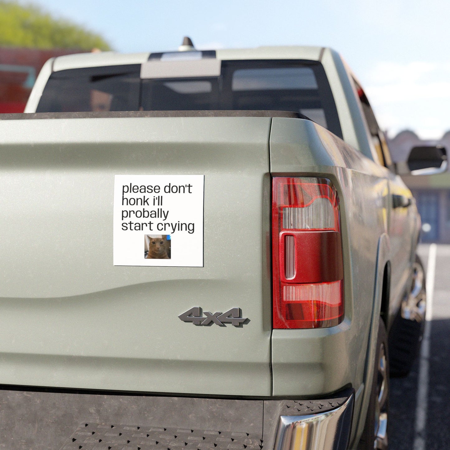 Car Magnet — "Please Don't Honk I'll Probally Start Crying" Cute Cat Meme