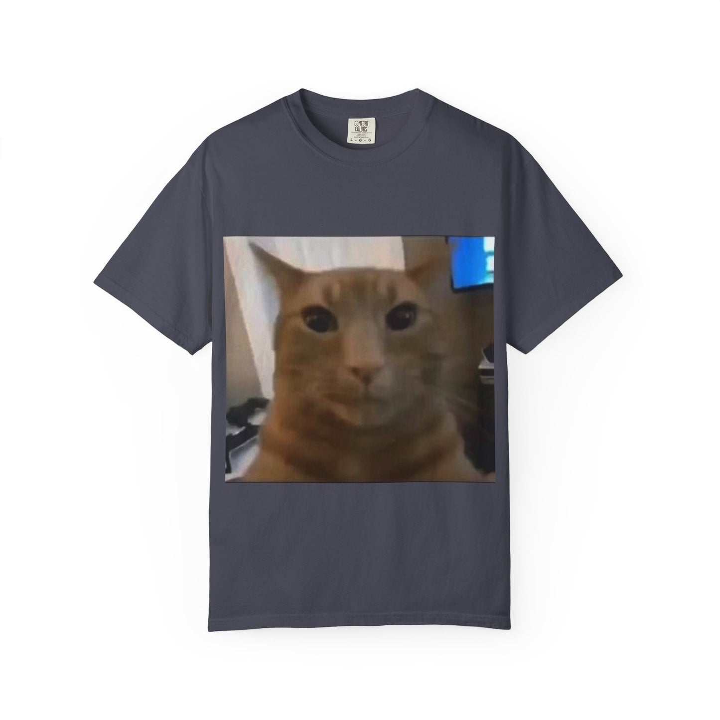 Wide-Eyed Orange Cat photo T-Shirt | Meme Cat Face, Square Print