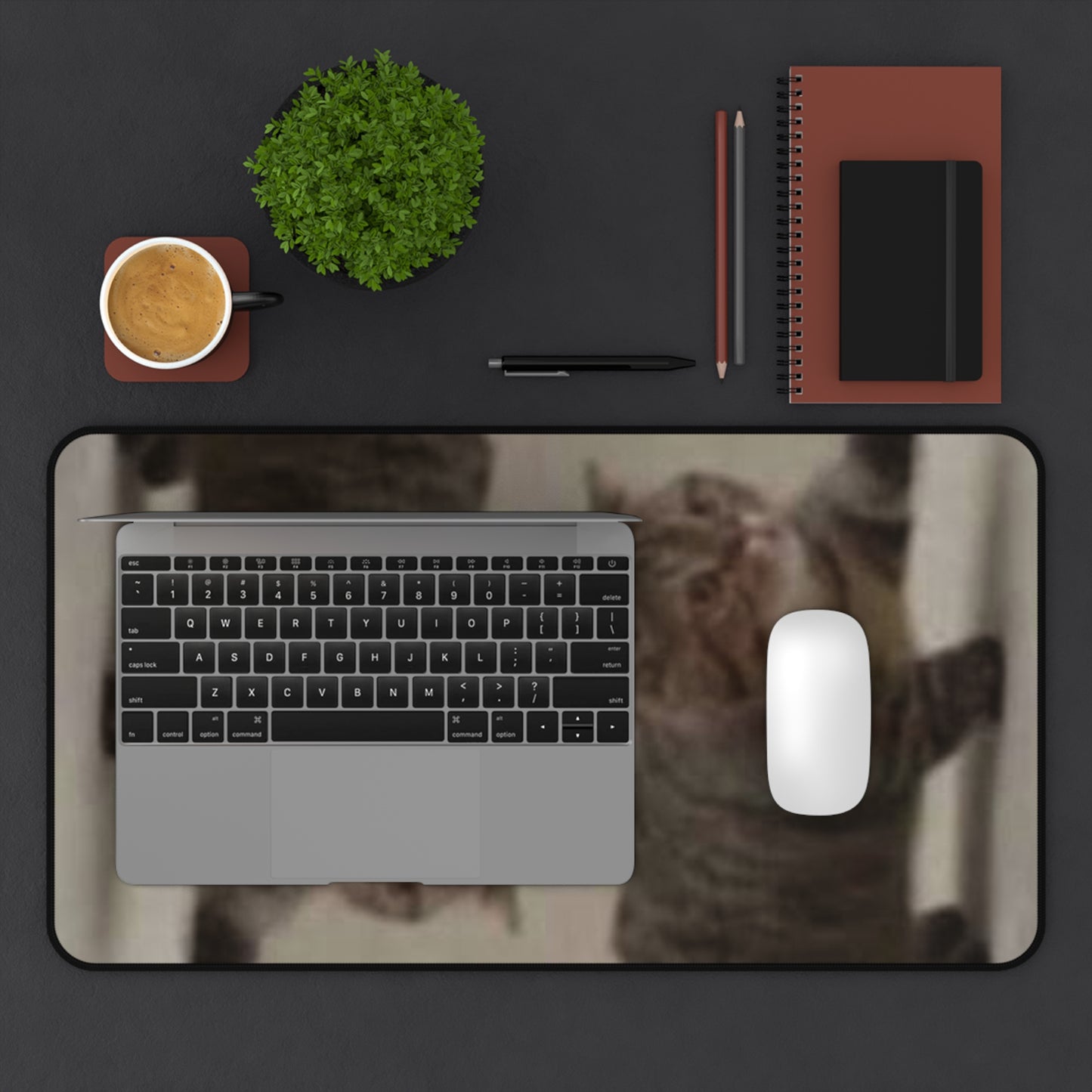 Cat Reflection Desk Mat — Funny Tabby Cat Mouse Pad for Home Office