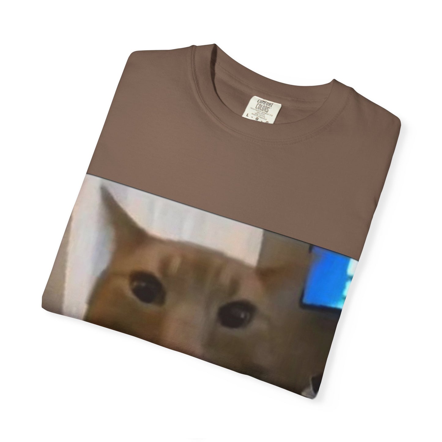 Wide-Eyed Orange Cat photo T-Shirt | Meme Cat Face, Square Print