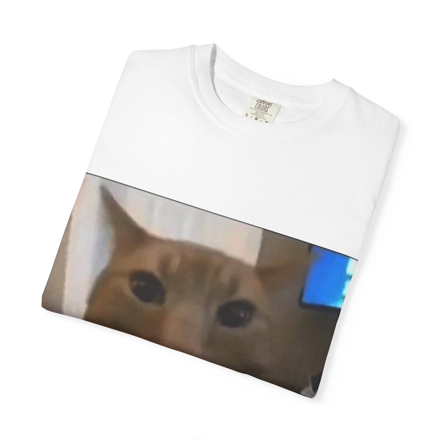 Wide-Eyed Orange Cat photo T-Shirt | Meme Cat Face, Square Print
