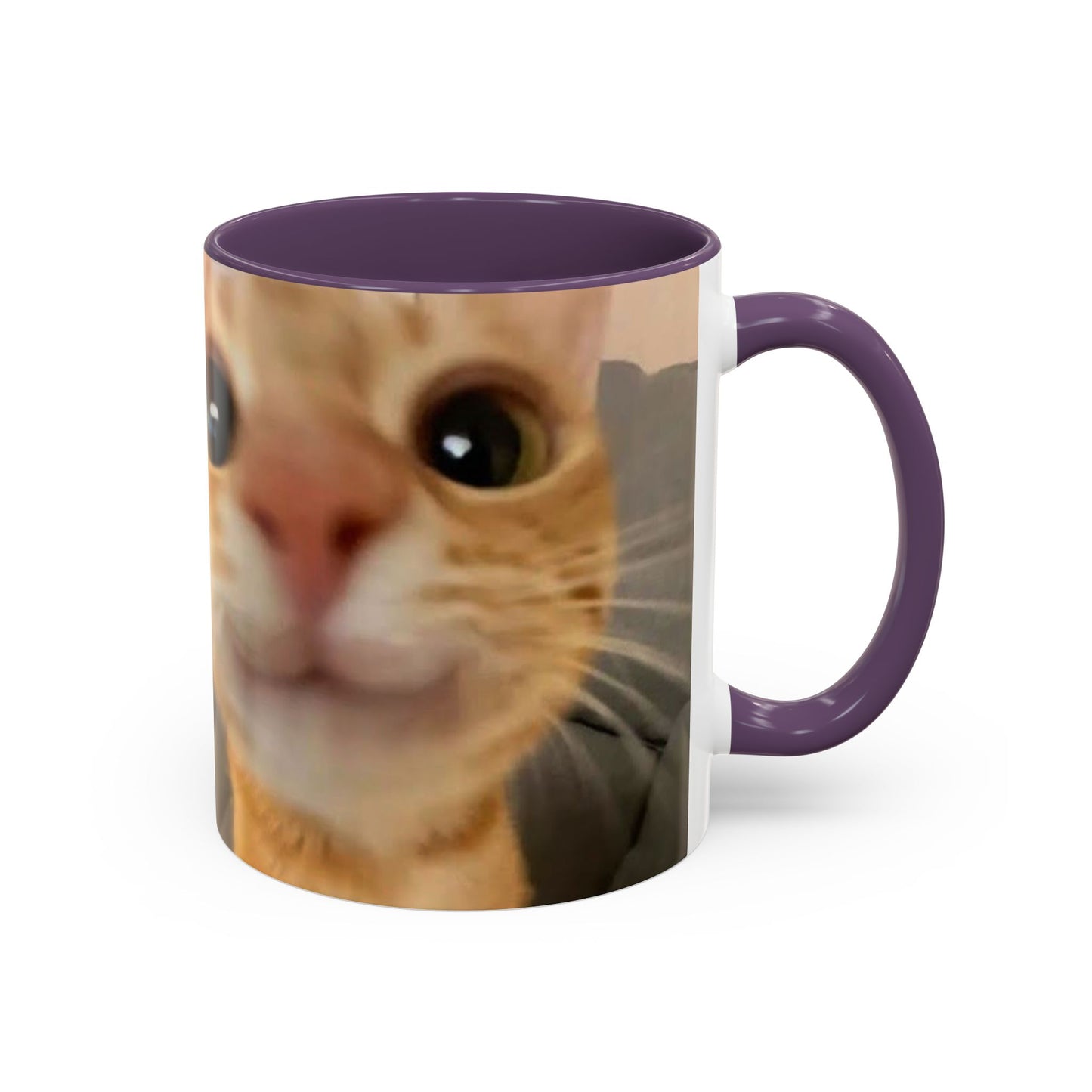 Cute Split-Photo Cat Accent Coffee Mug (11/15oz)