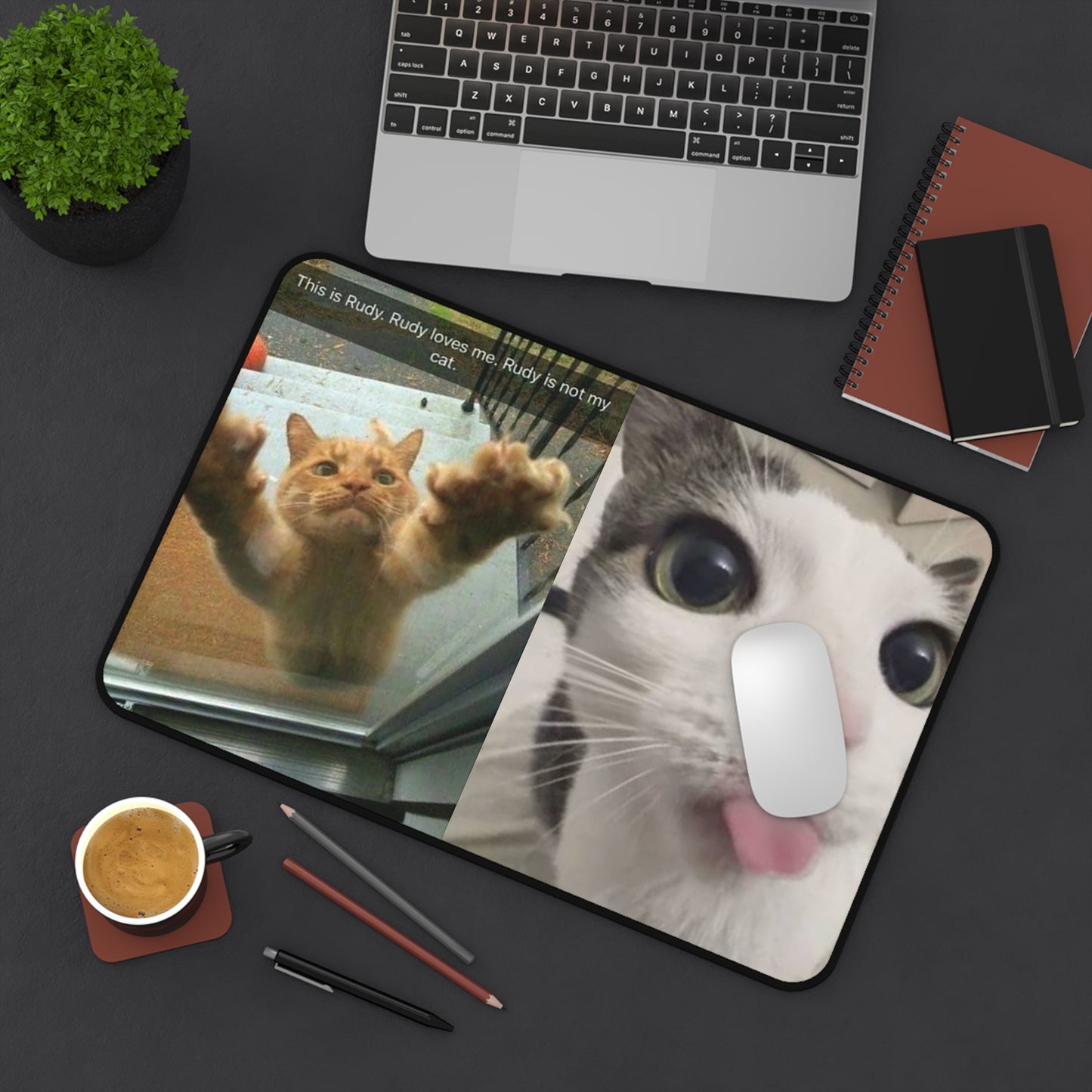 Funny Cat Meme Desk Mat — “This is Rudy, Rudy loves me. Rudy is not my cat.”