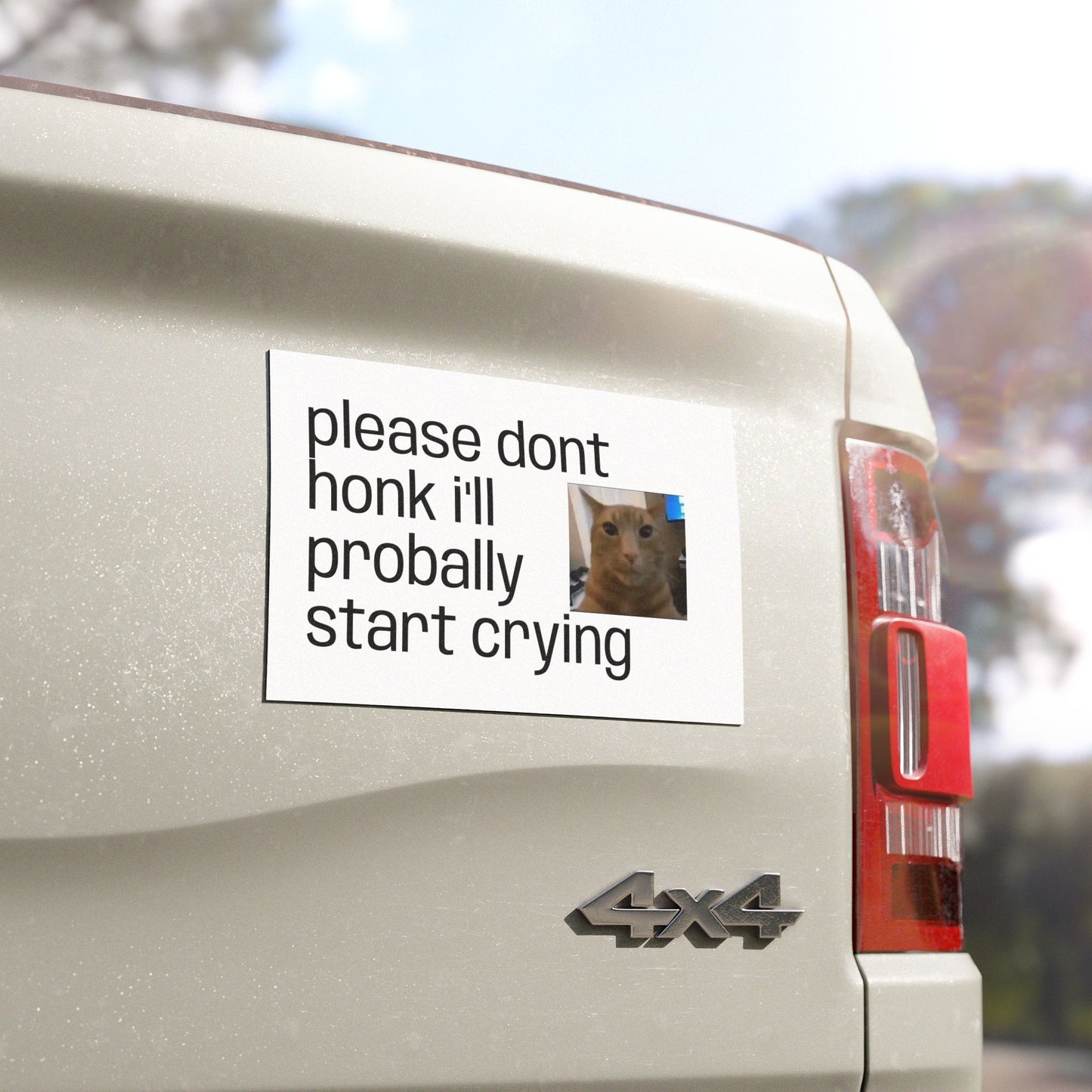 Car Magnet — "Please Don't Honk I'll Probally Start Crying" Cute Cat Meme