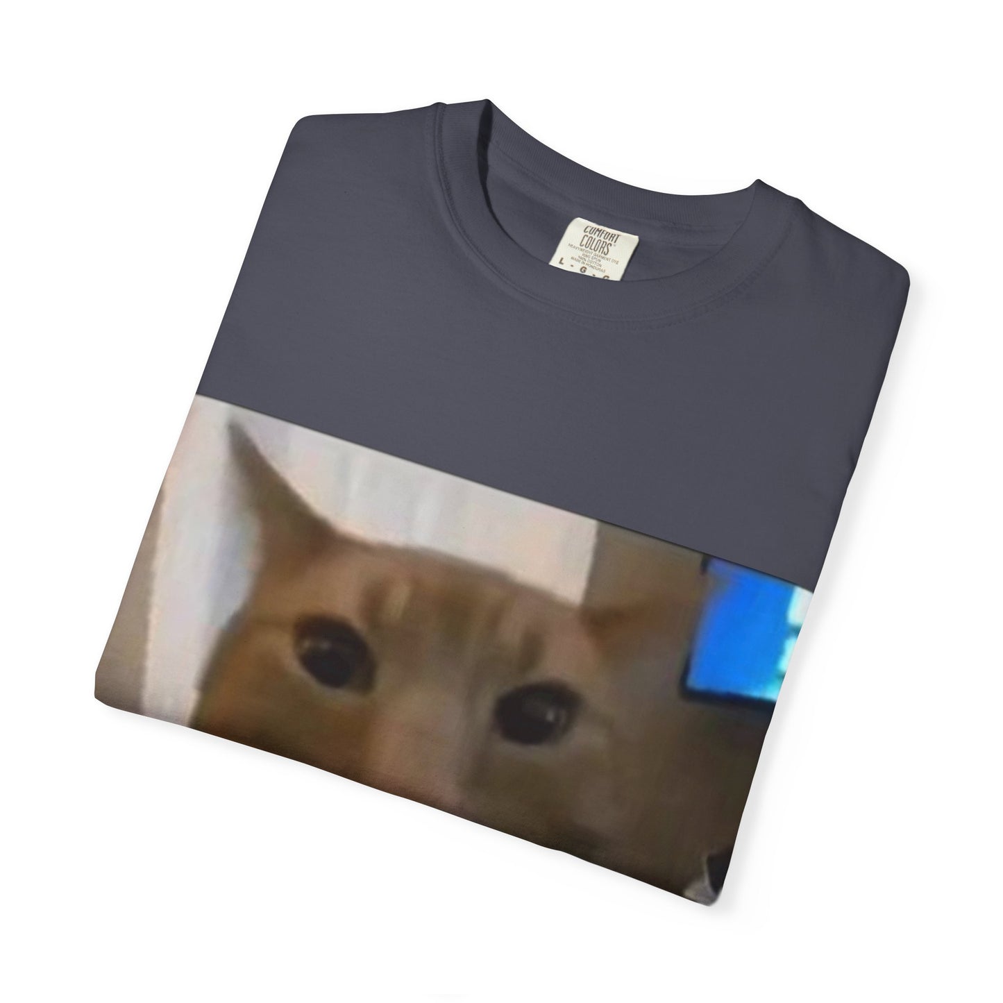 Wide-Eyed Orange Cat photo T-Shirt | Meme Cat Face, Square Print