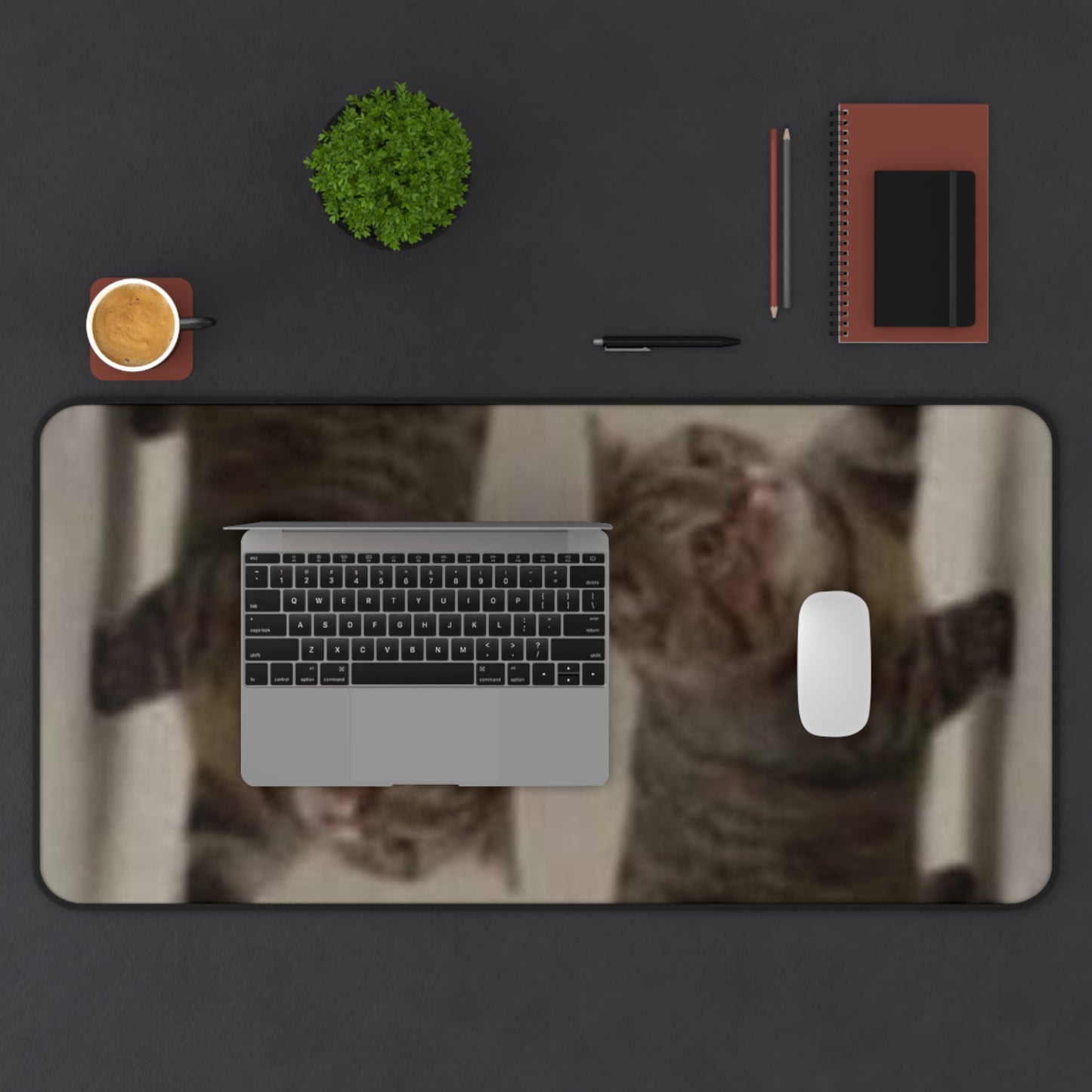 Cat Reflection Desk Mat — Funny Tabby Cat Mouse Pad for Home Office