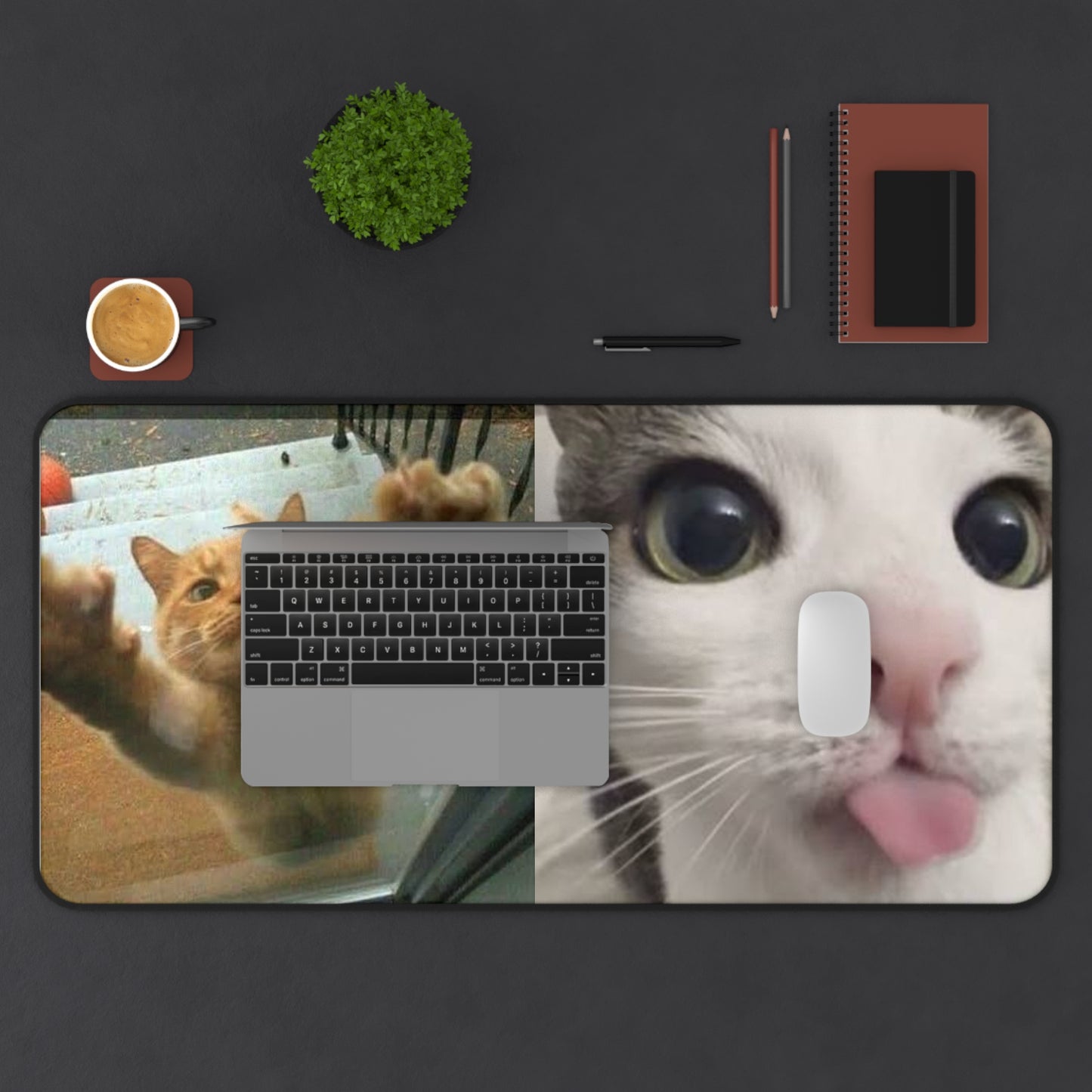 Funny Cat Meme Desk Mat — “This is Rudy, Rudy loves me. Rudy is not my cat.”