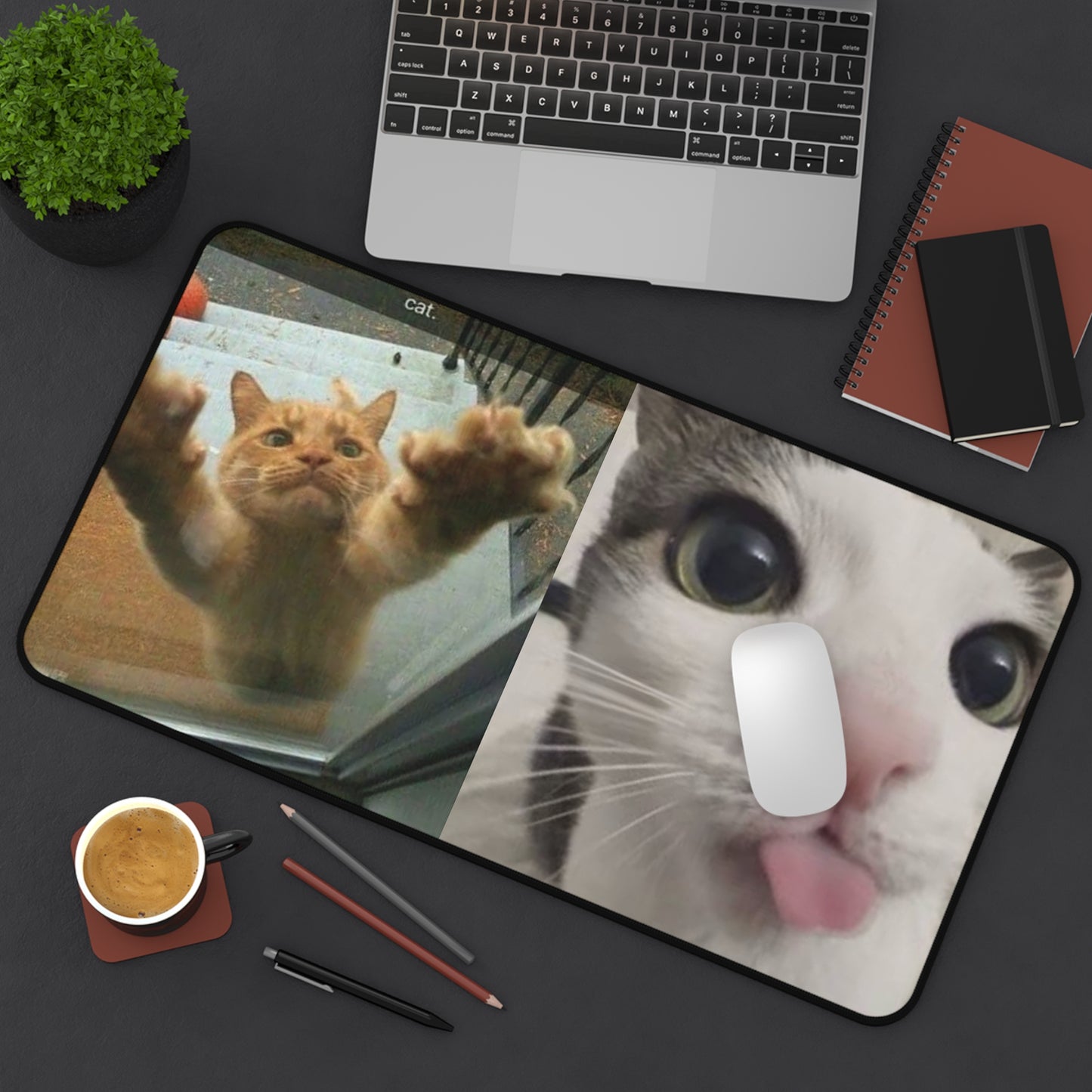 Funny Cat Meme Desk Mat — “This is Rudy, Rudy loves me. Rudy is not my cat.”