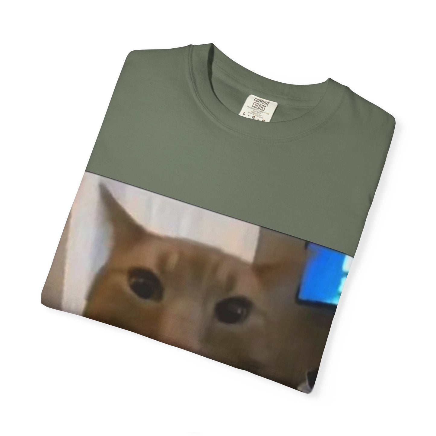 Wide-Eyed Orange Cat photo T-Shirt | Meme Cat Face, Square Print