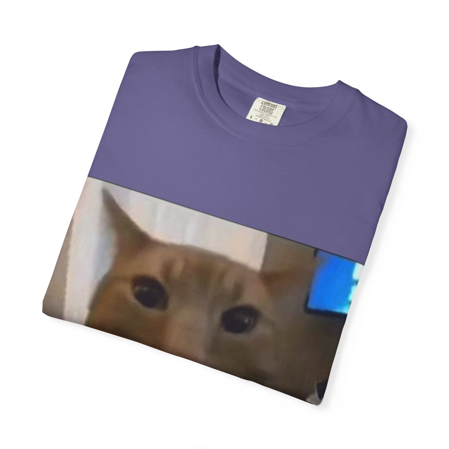 Wide-Eyed Orange Cat photo T-Shirt | Meme Cat Face, Square Print