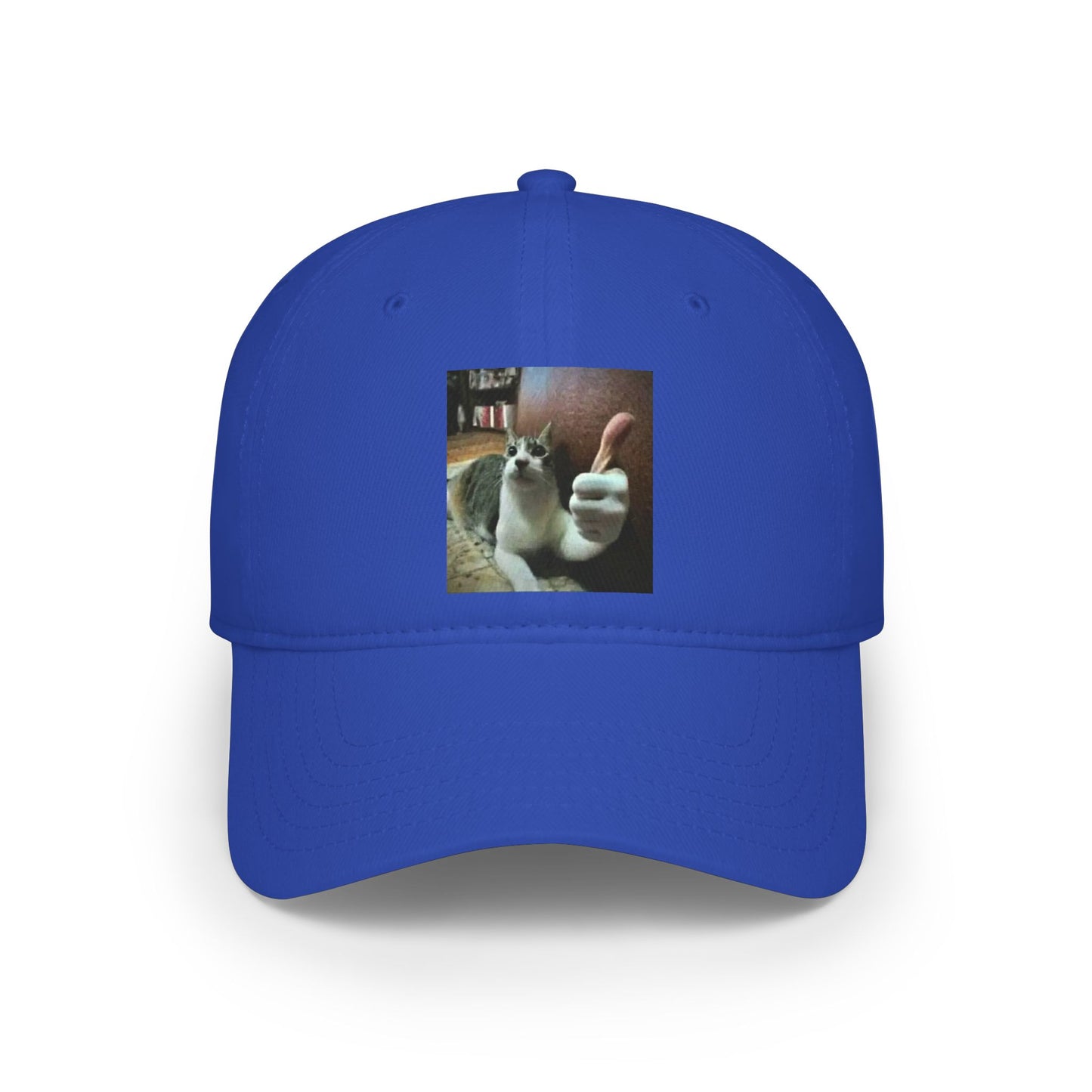 Cat Thumbs-Up Baseball Cap — Funny Cat Photo Low Profile Hat