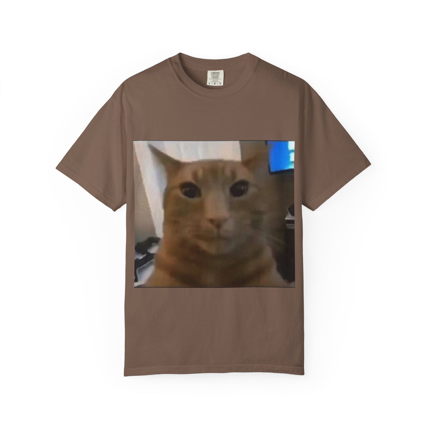 Wide-Eyed Orange Cat photo T-Shirt | Meme Cat Face, Square Print