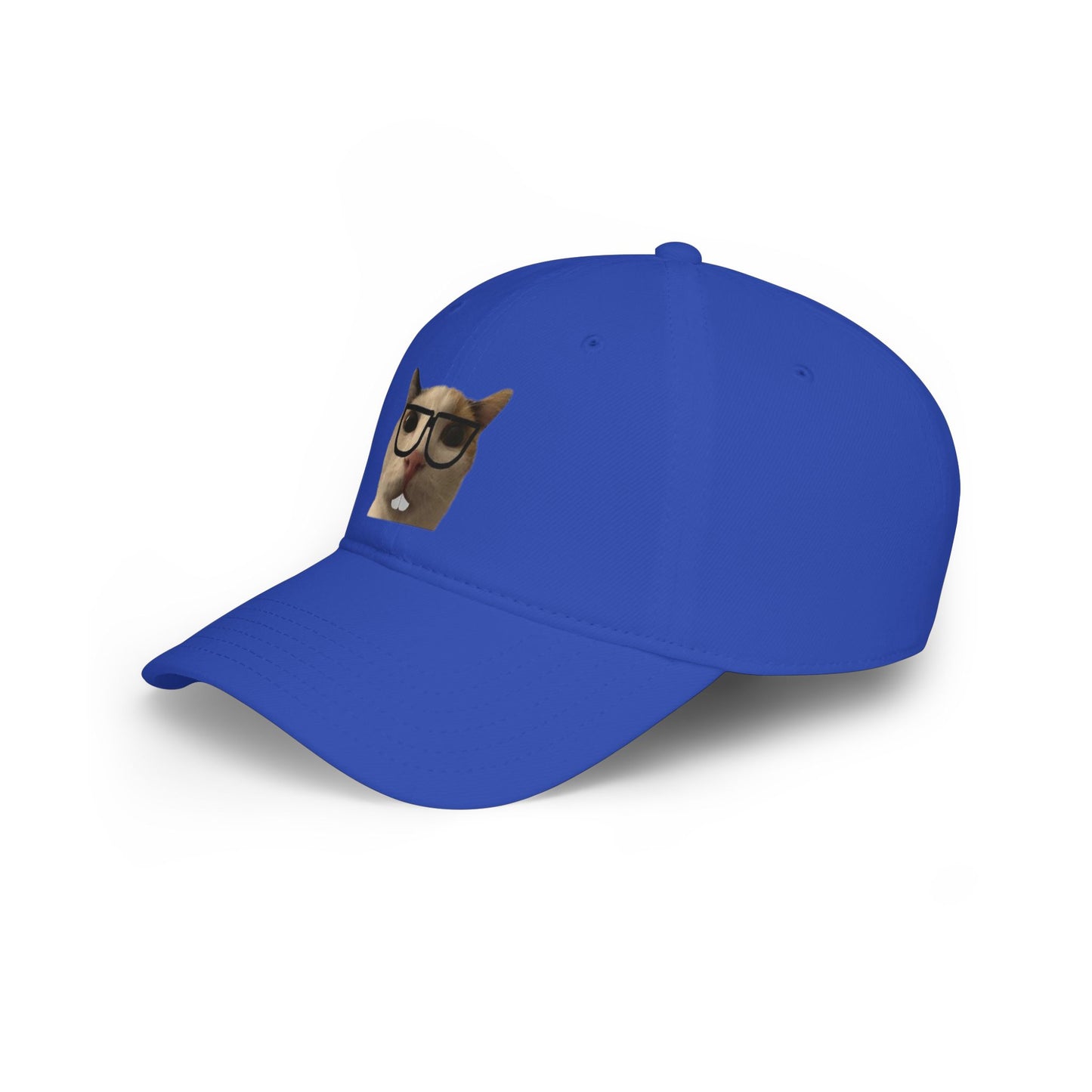 Nerdy Cat Summer Hat