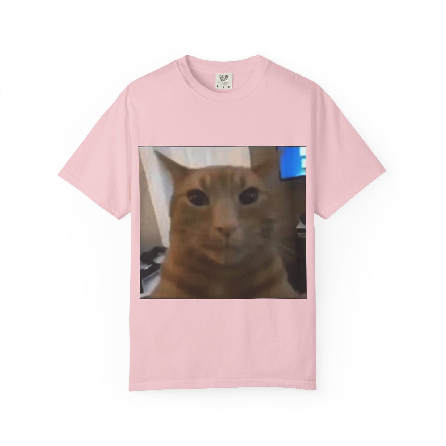 Wide-Eyed Orange Cat photo T-Shirt | Meme Cat Face, Square Print