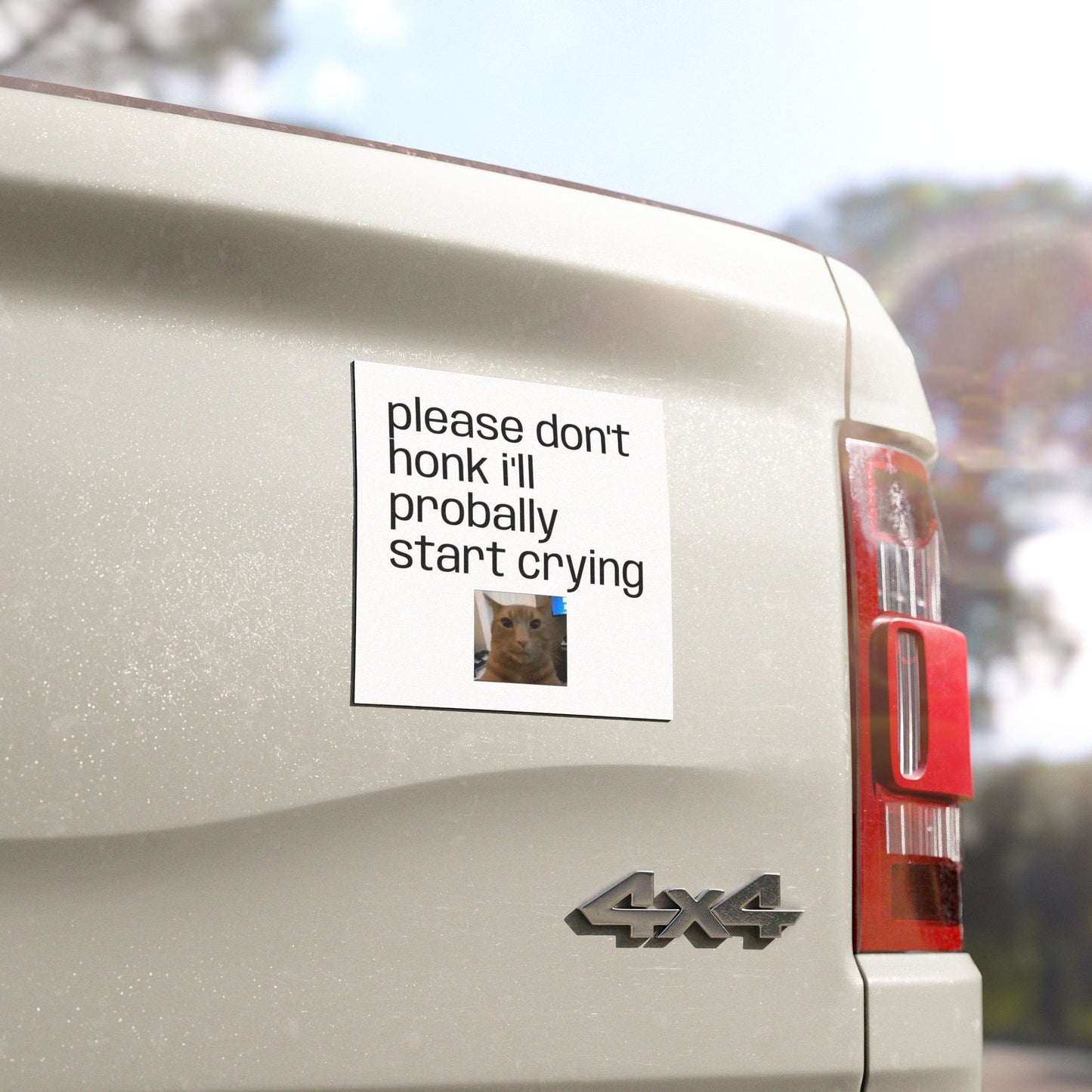 Car Magnet — "Please Don't Honk I'll Probally Start Crying" Cute Cat Meme
