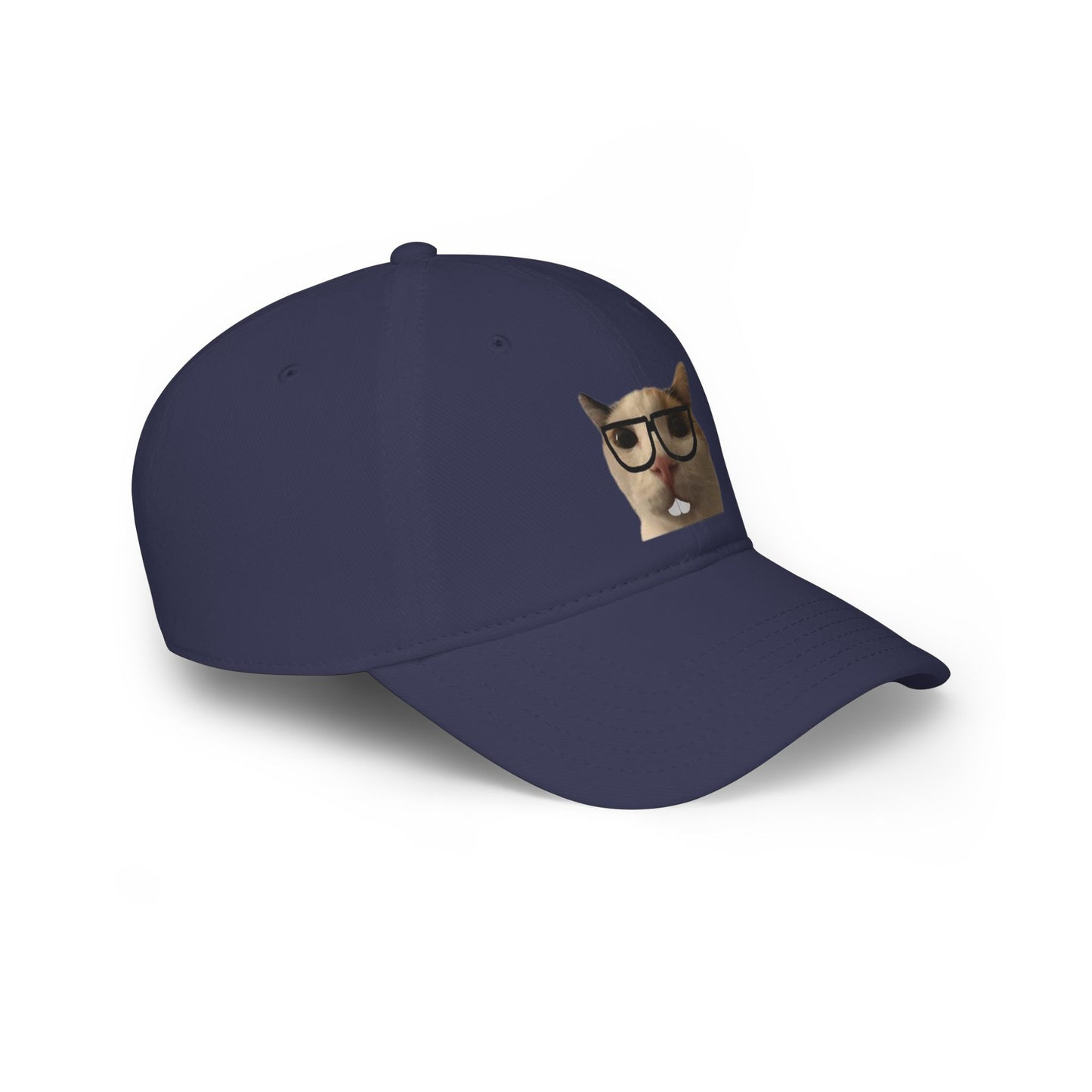 Nerdy Cat Summer Hat