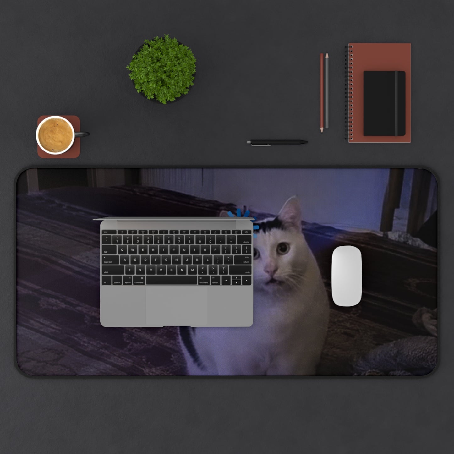 Cute Cat Desk Mat with Daisy Filter – Funny Cat Mousepad for Cat Lovers