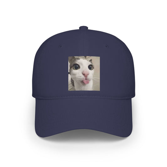 Cute Cat Summer Hat