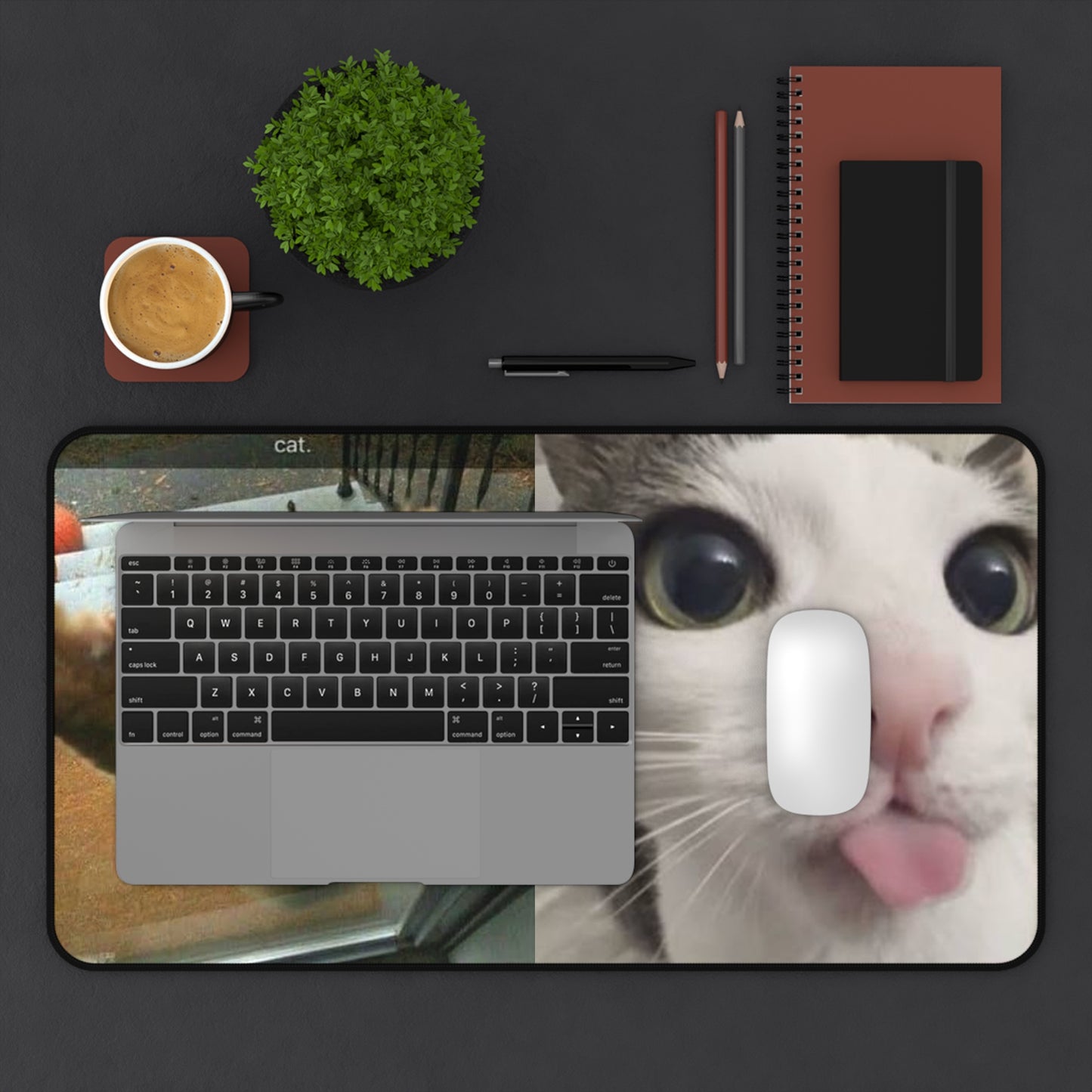 Funny Cat Meme Desk Mat — “This is Rudy, Rudy loves me. Rudy is not my cat.”
