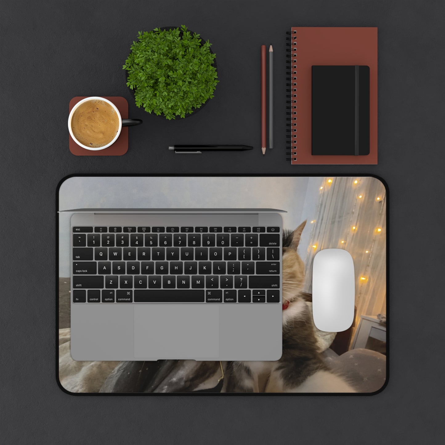 Cozy Cat Photo Desk Mat – Cute Calico Cat Mouse Pad for Home Office