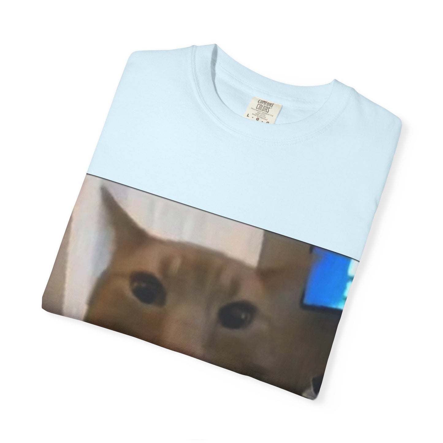 Wide-Eyed Orange Cat photo T-Shirt | Meme Cat Face, Square Print