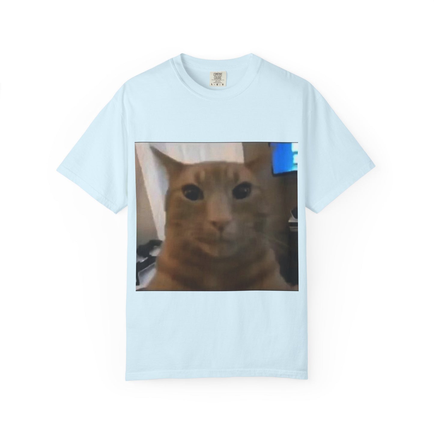 Wide-Eyed Orange Cat photo T-Shirt | Meme Cat Face, Square Print