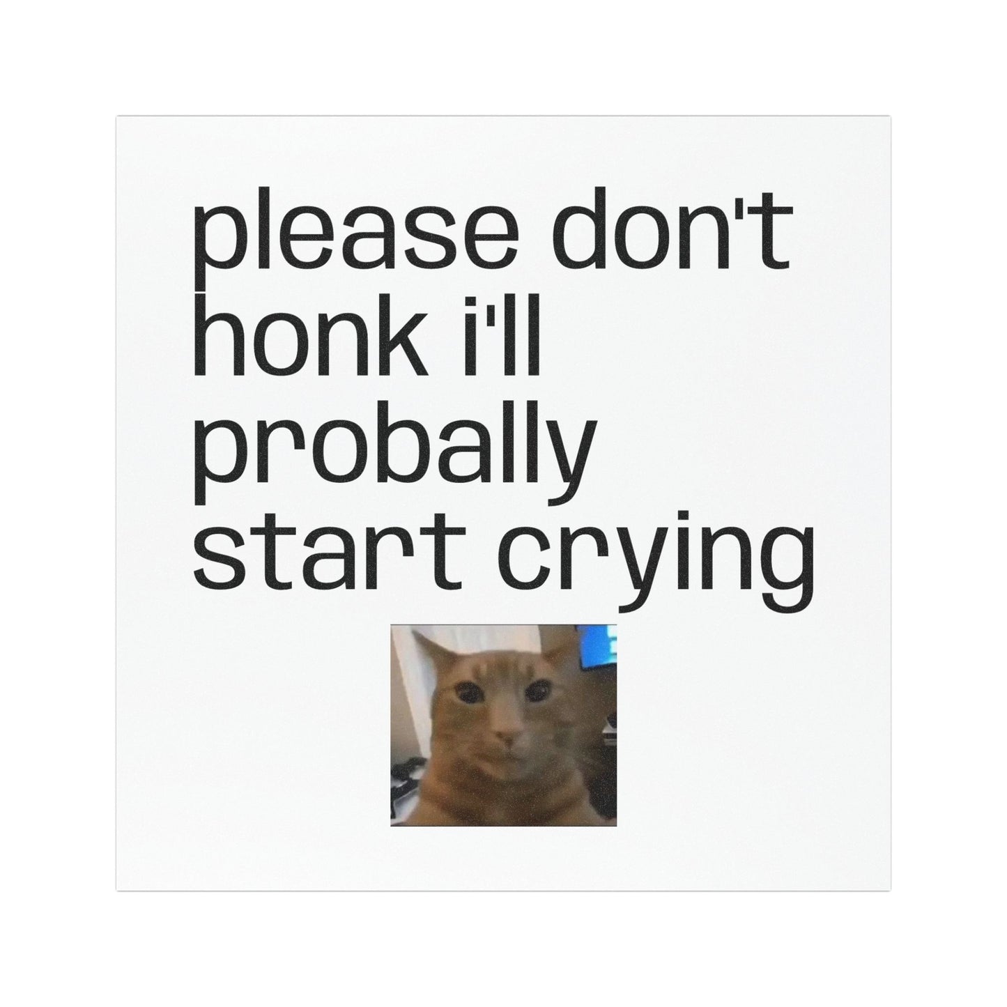 Car Magnet — "Please Don't Honk I'll Probally Start Crying" Cute Cat Meme