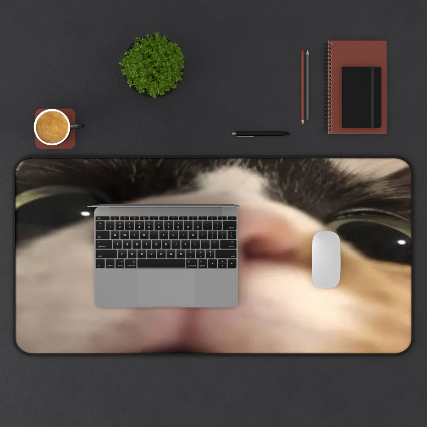 Cat Nose Desk Mat – Cute Close-Up Cat Face Mouse Pad