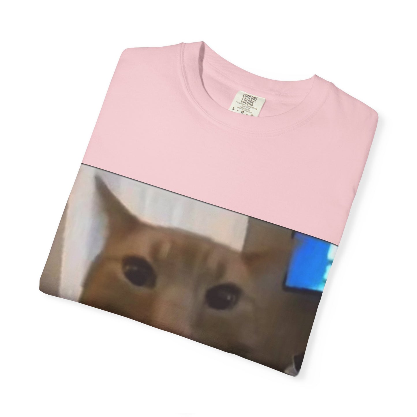 Wide-Eyed Orange Cat photo T-Shirt | Meme Cat Face, Square Print
