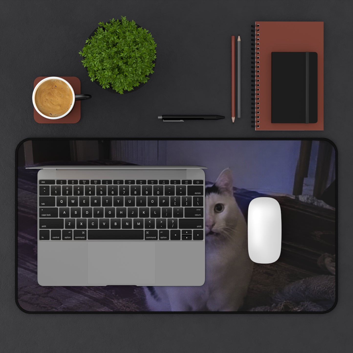 Cute Cat Desk Mat with Daisy Filter – Funny Cat Mousepad for Cat Lovers