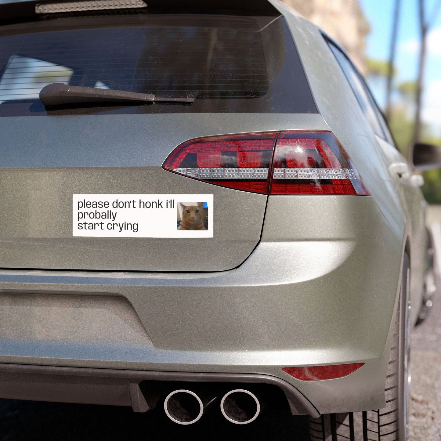 Car Magnet — "Please Don't Honk I'll Probally Start Crying" Cute Cat Meme