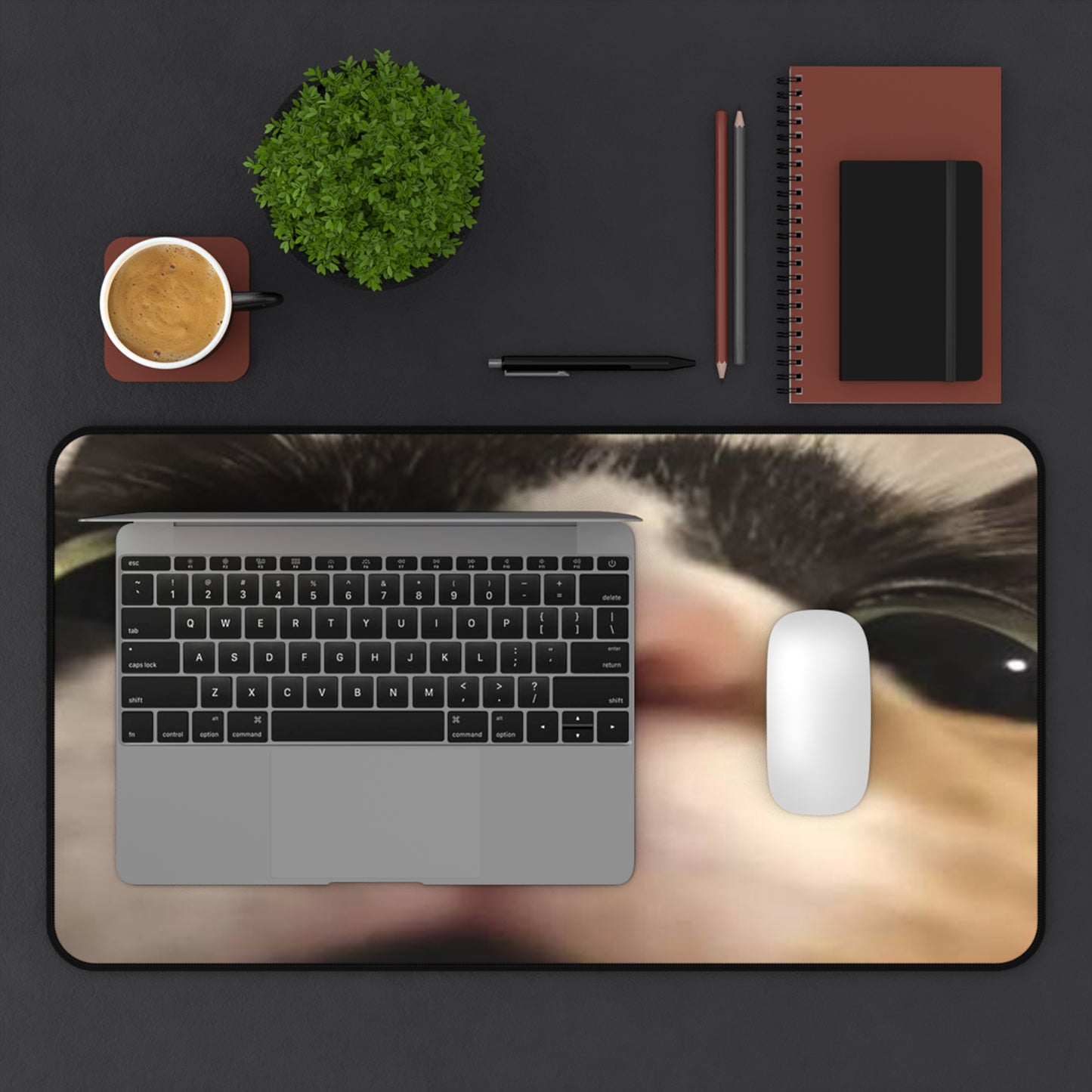 Cat Nose Desk Mat – Cute Close-Up Cat Face Mouse Pad