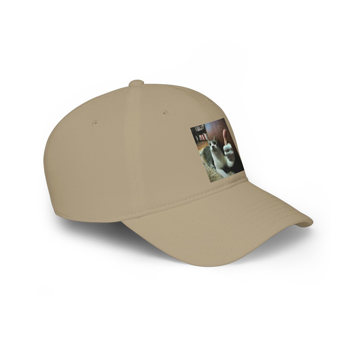 Cat Thumbs-Up Baseball Cap — Funny Cat Photo Low Profile Hat