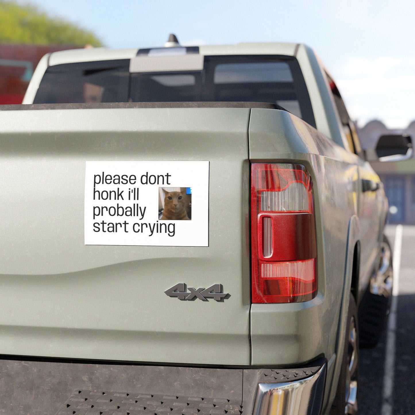 Car Magnet — "Please Don't Honk I'll Probally Start Crying" Cute Cat Meme