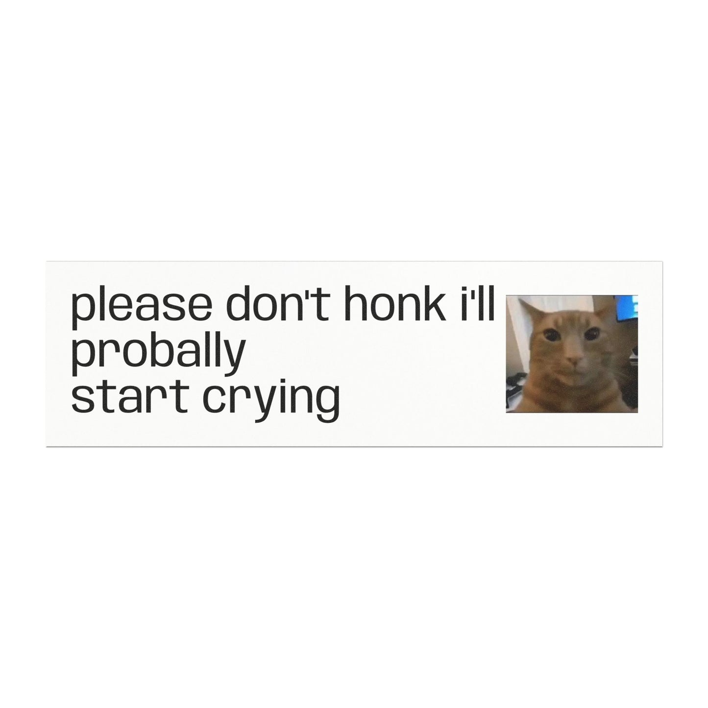 Car Magnet — "Please Don't Honk I'll Probally Start Crying" Cute Cat Meme