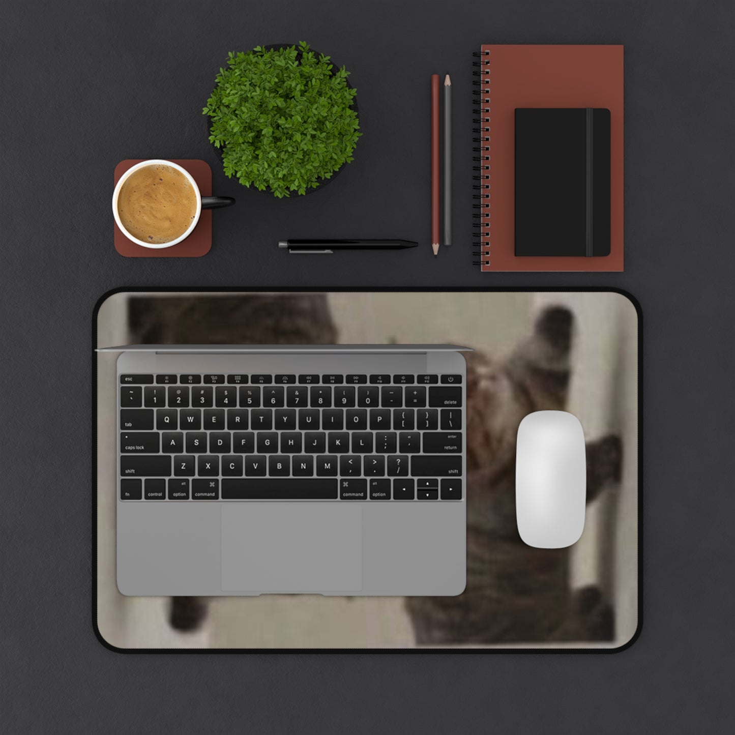 Cat Reflection Desk Mat — Funny Tabby Cat Mouse Pad for Home Office