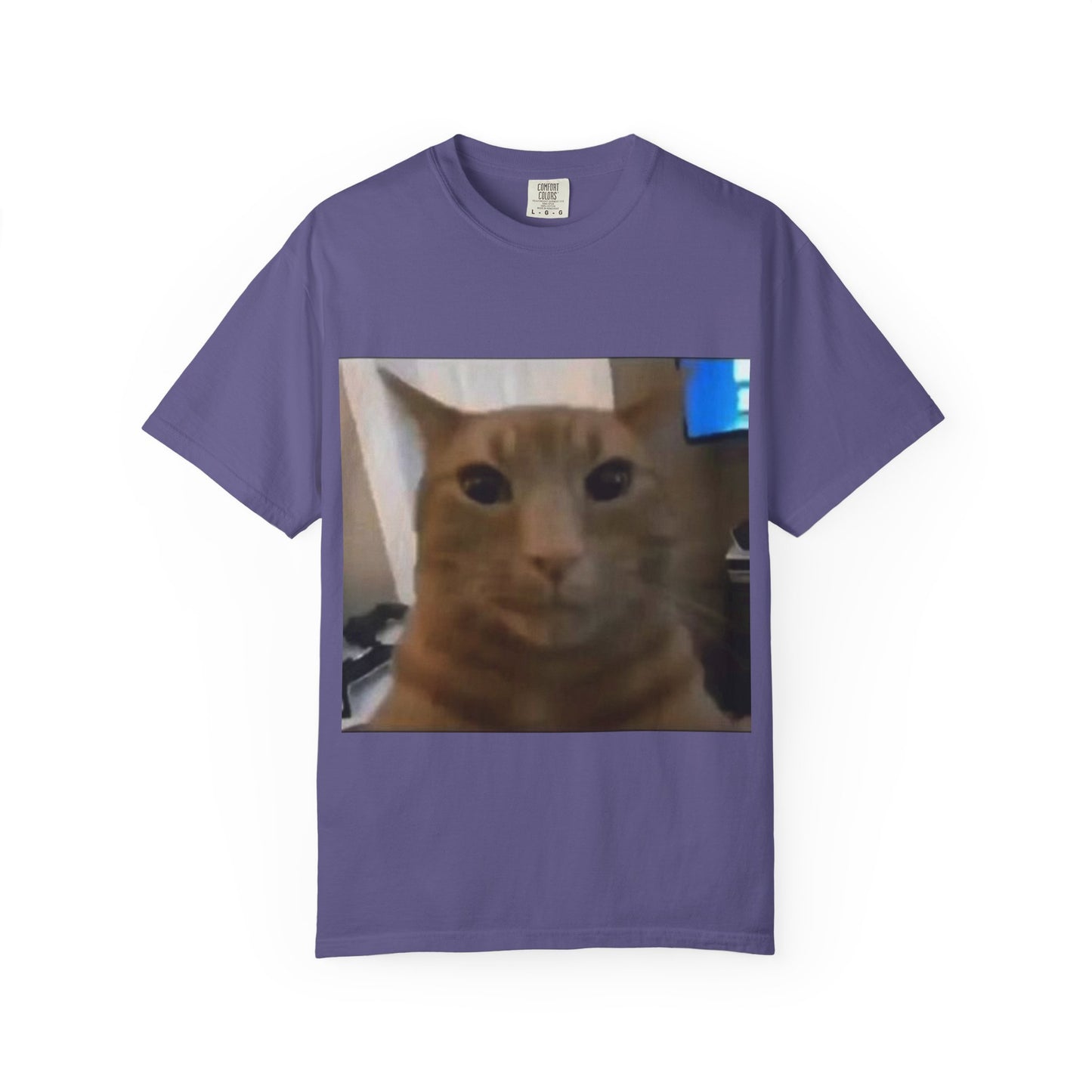 Wide-Eyed Orange Cat photo T-Shirt | Meme Cat Face, Square Print