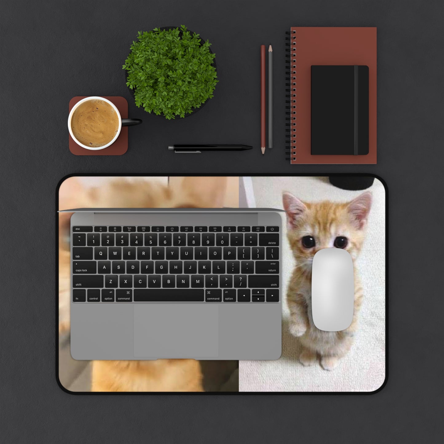 Cute Ginger Kitten Desk Mat — Photo Collage Mouse Pad for Cat Lovers