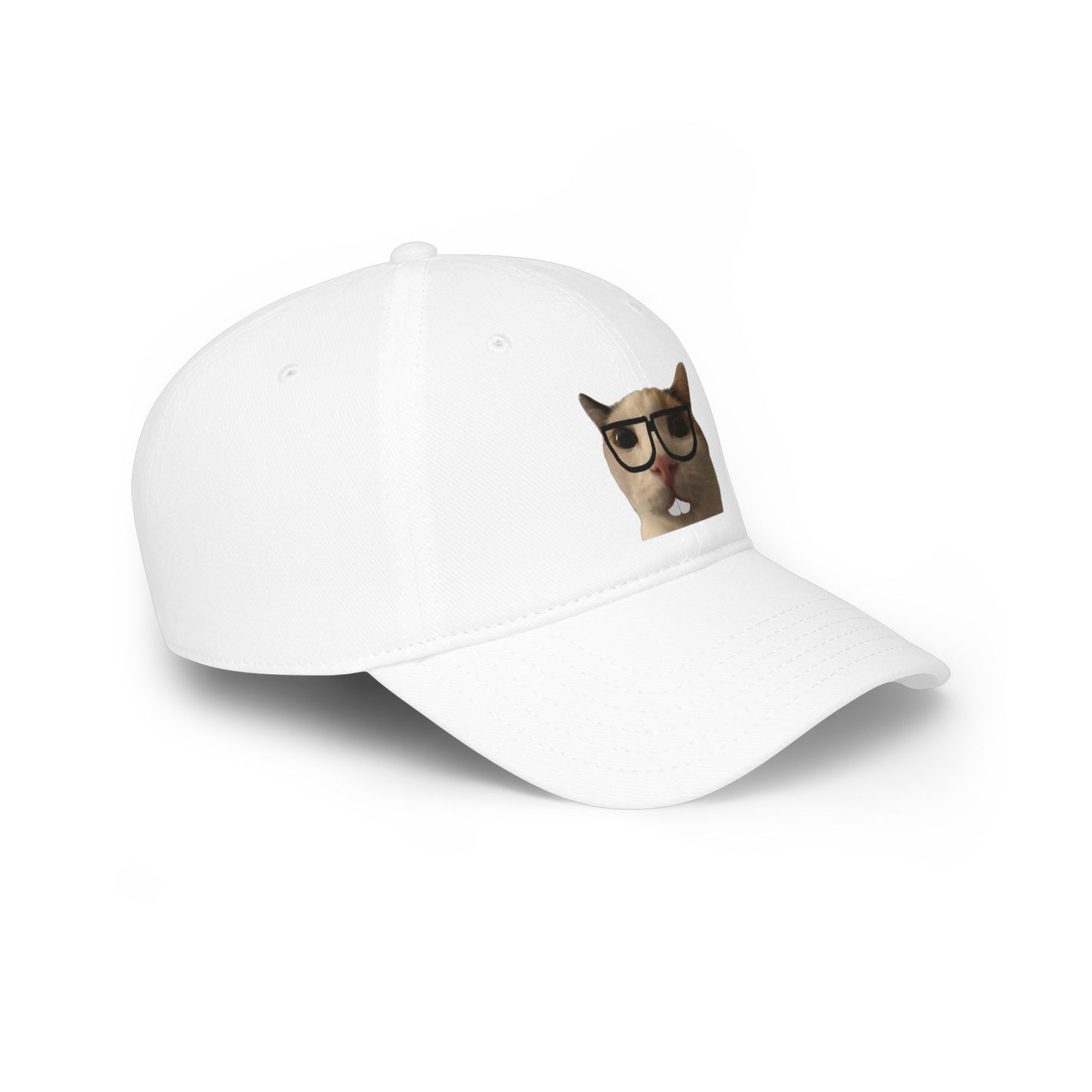 Nerdy Cat Summer Hat
