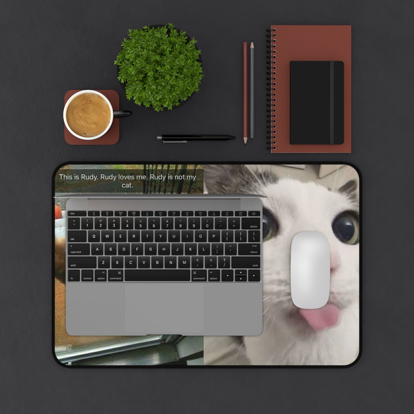 Funny Cat Meme Desk Mat — “This is Rudy, Rudy loves me. Rudy is not my cat.”
