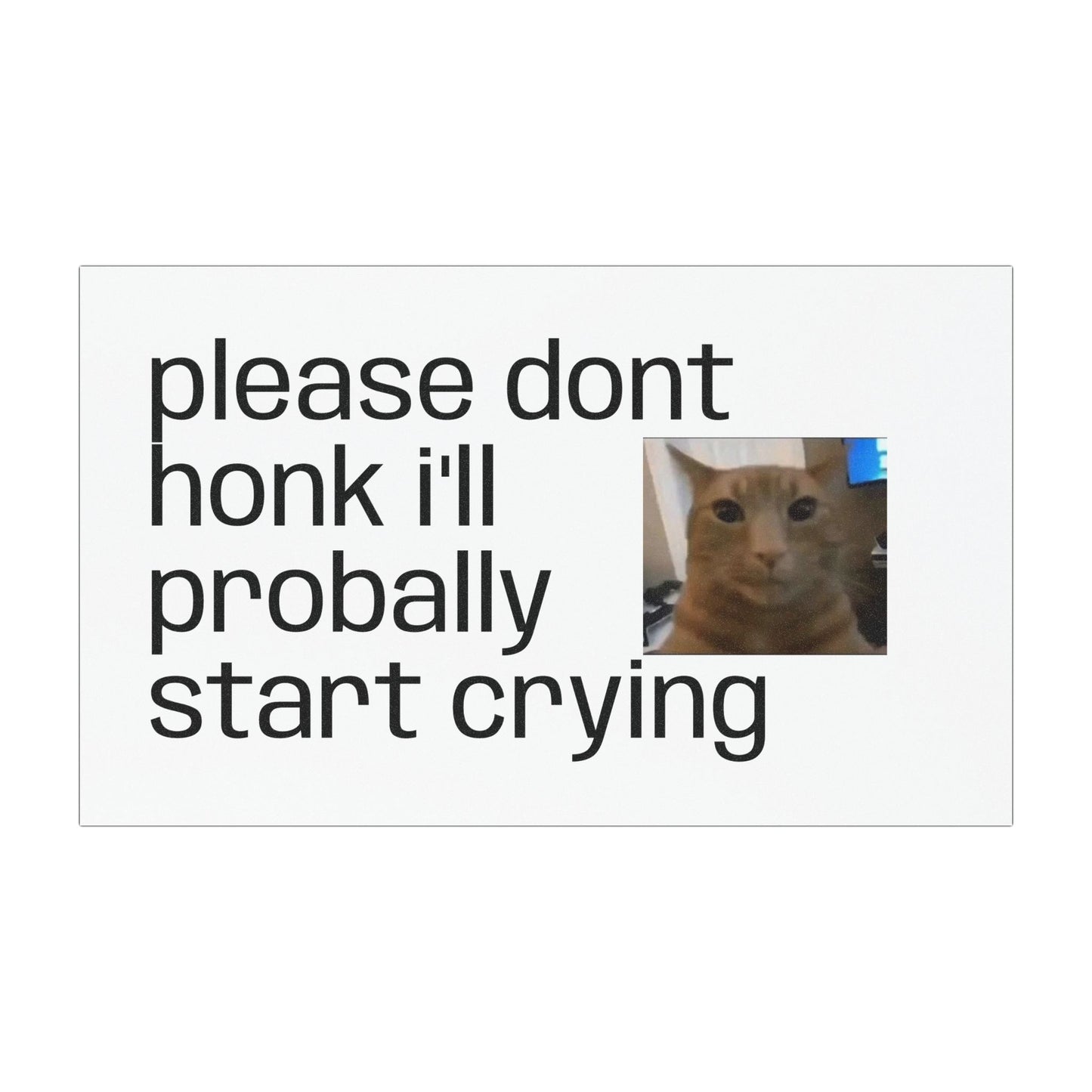 Car Magnet — "Please Don't Honk I'll Probally Start Crying" Cute Cat Meme