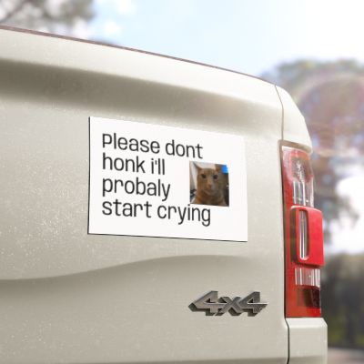 Car Magnet — "Please Don't Honk I'll Probaly Start Crying" Cute Cat Meme